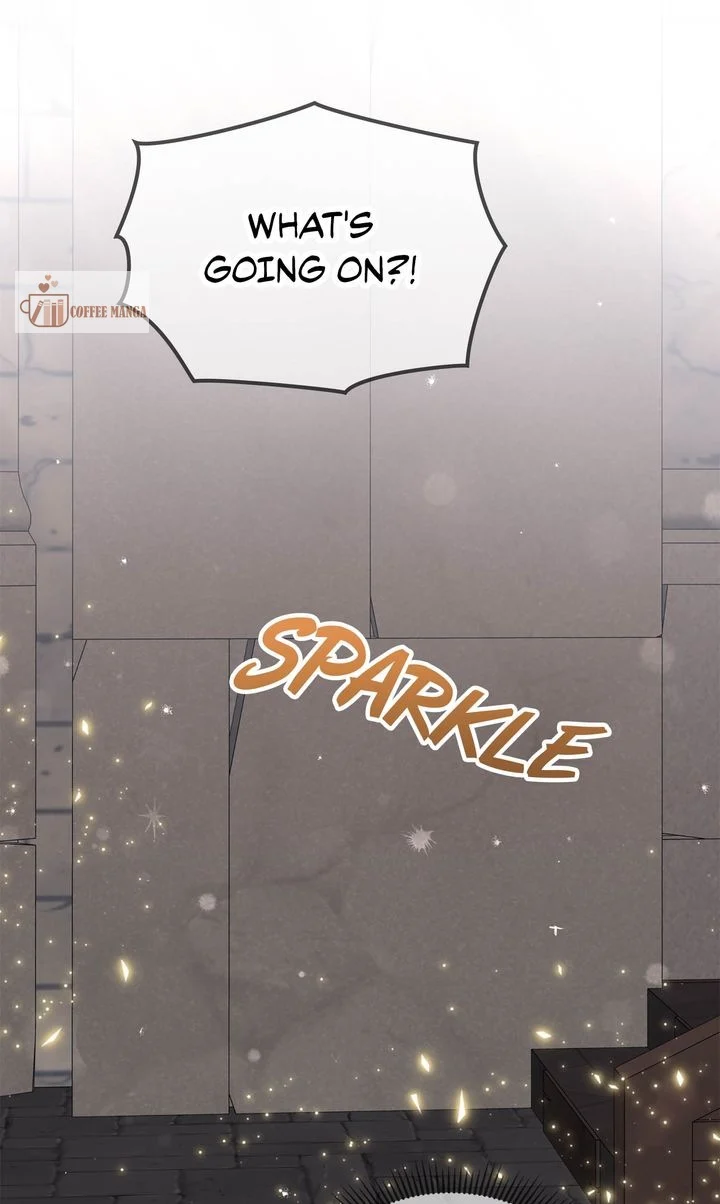 ch 85 79