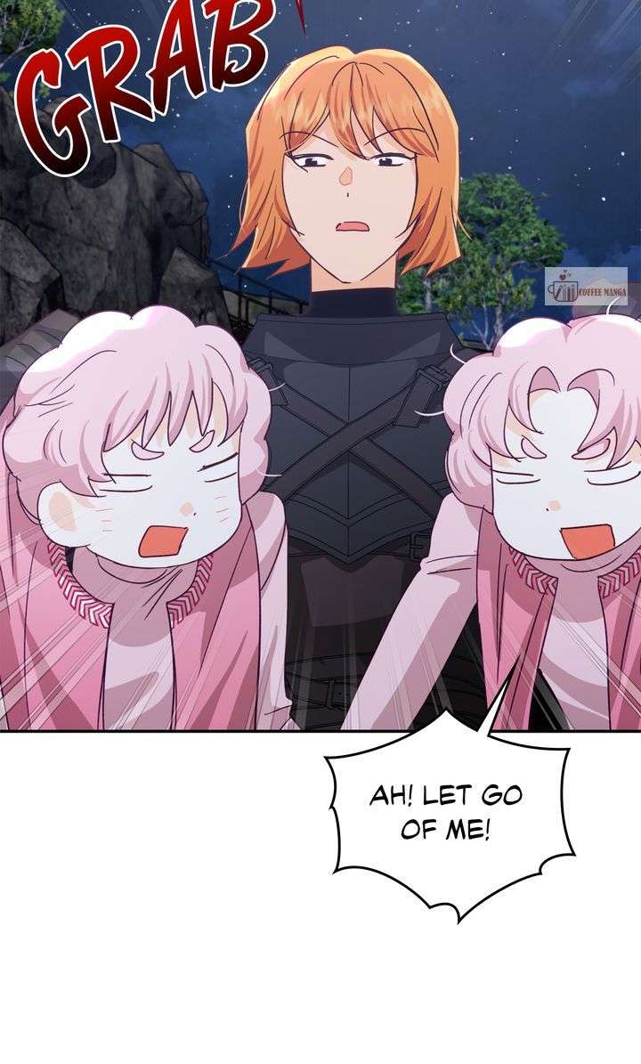 81