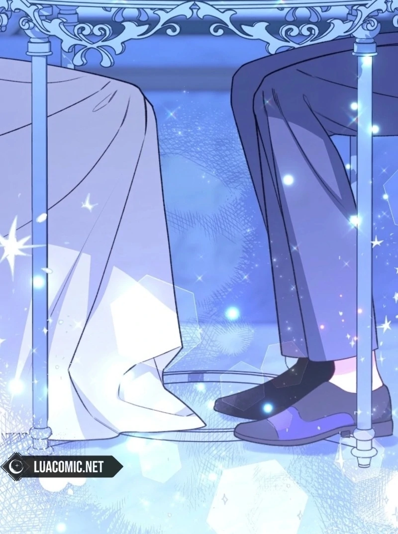 ch 113 144