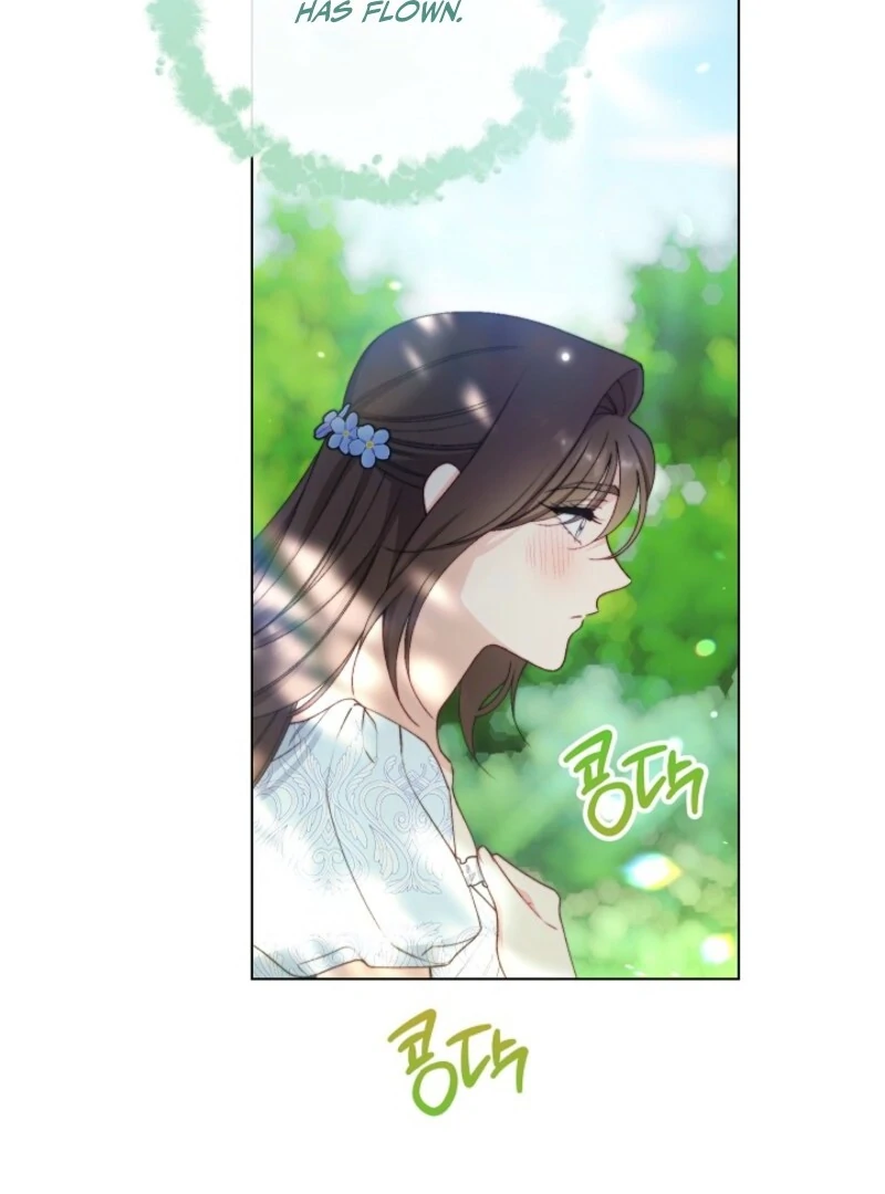 ch 115 113