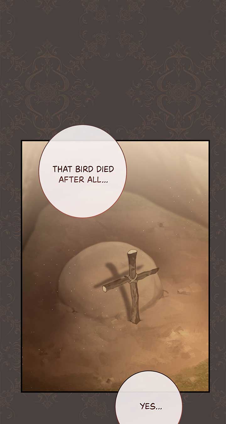 ch 18 3