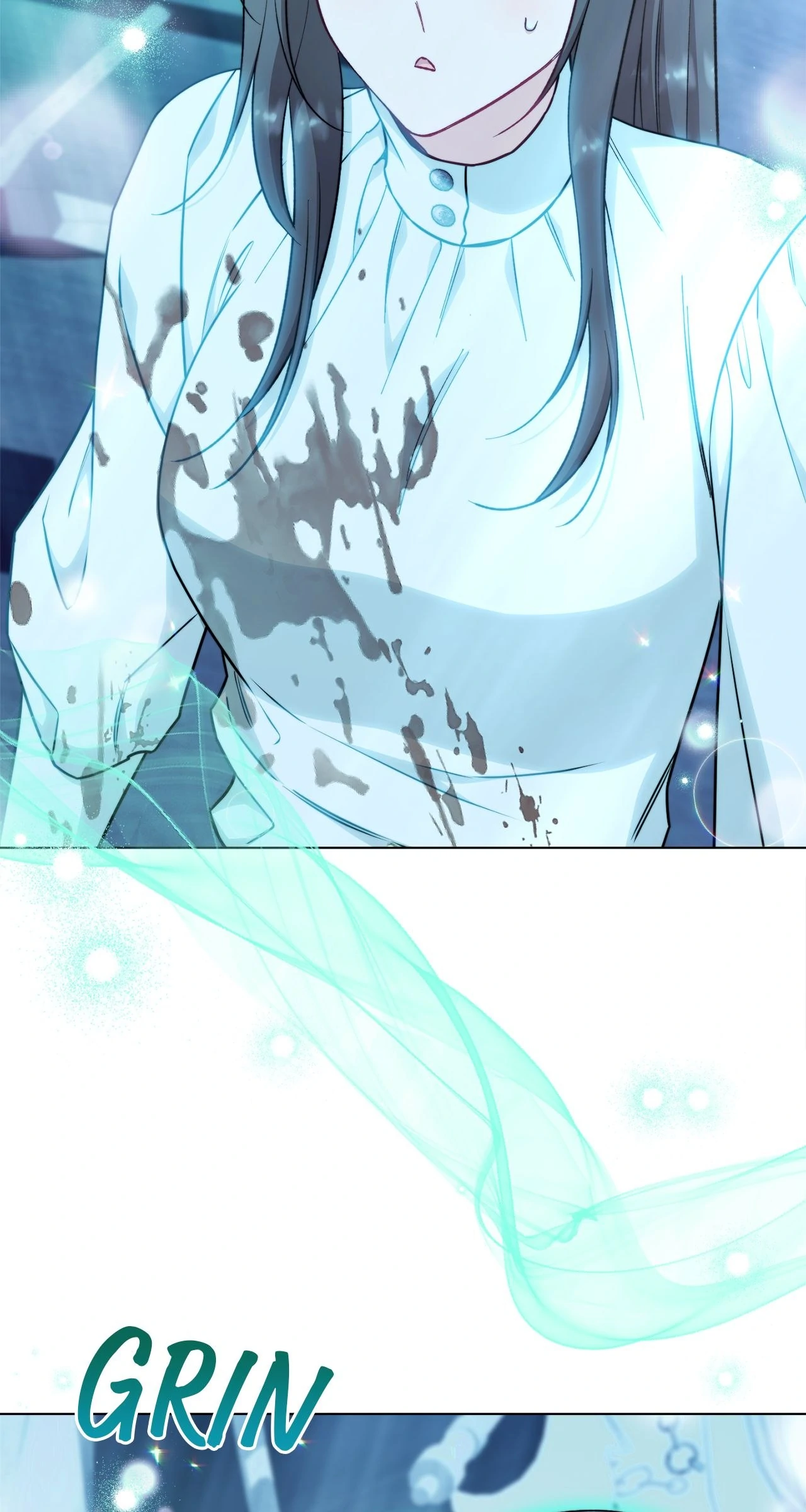 ch 85 20