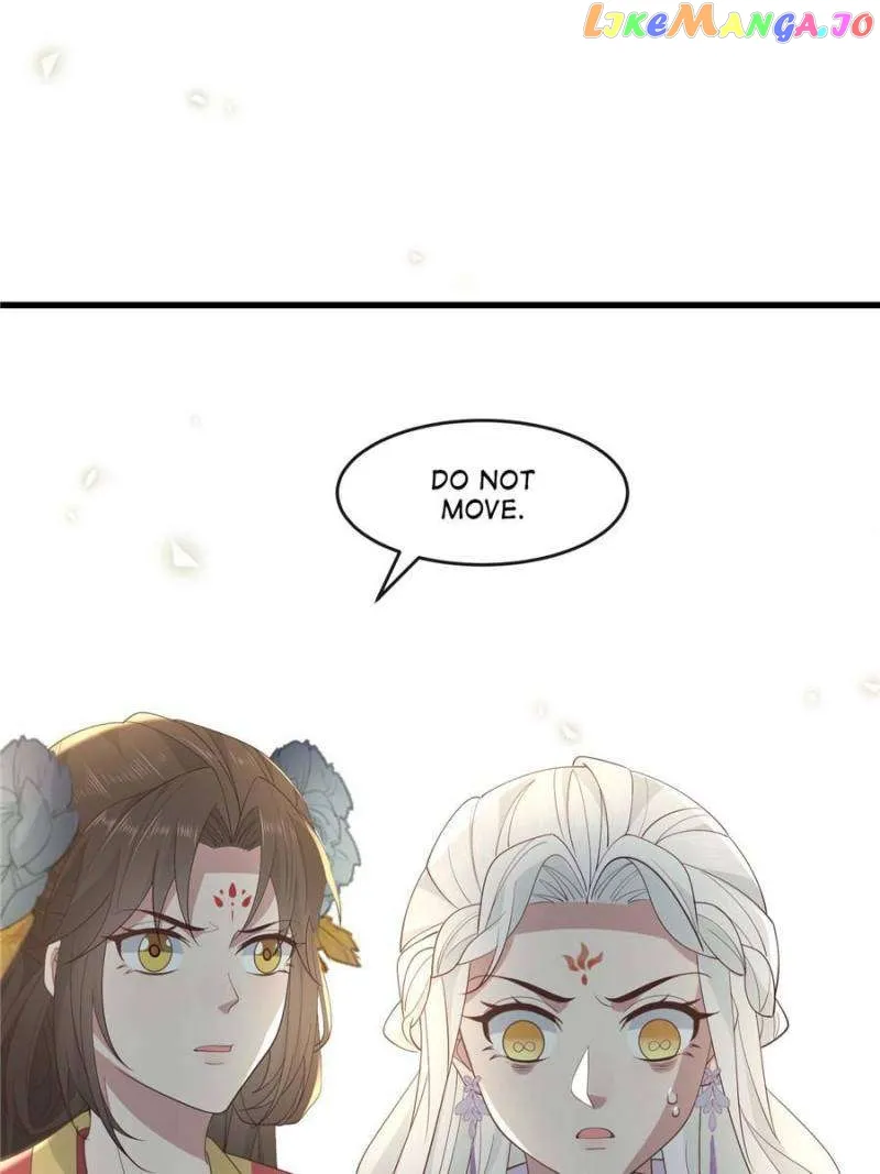 ch 213 8