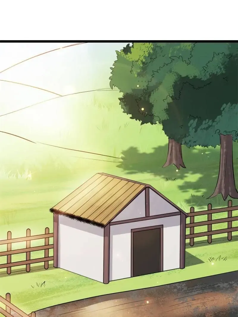 ch 40 25