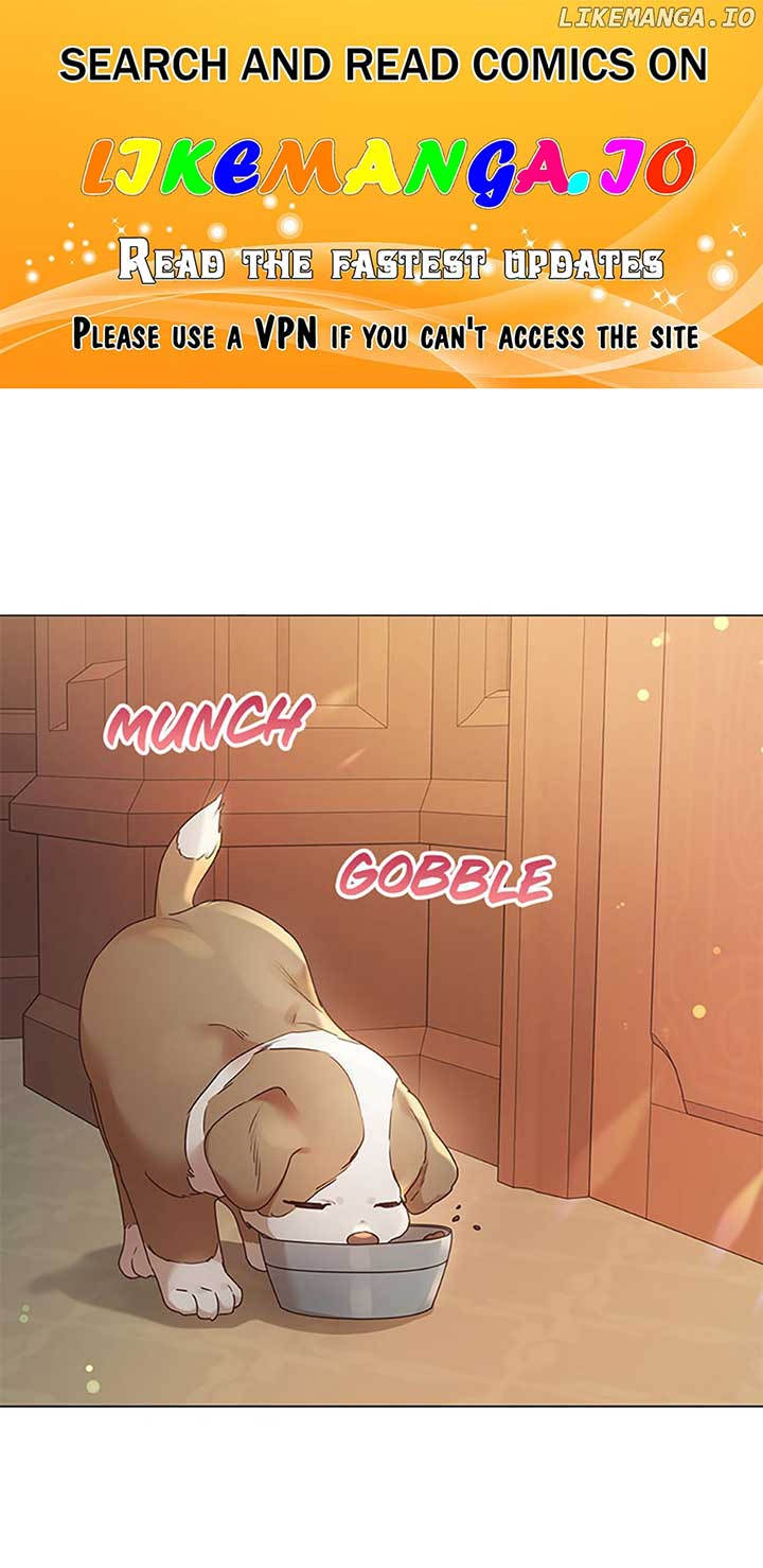 ch 102 1