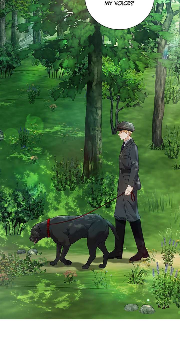 ch 154 52