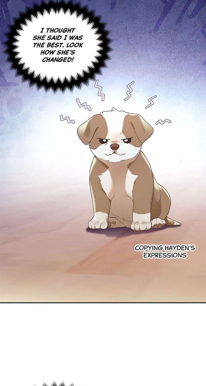 ch 164 13