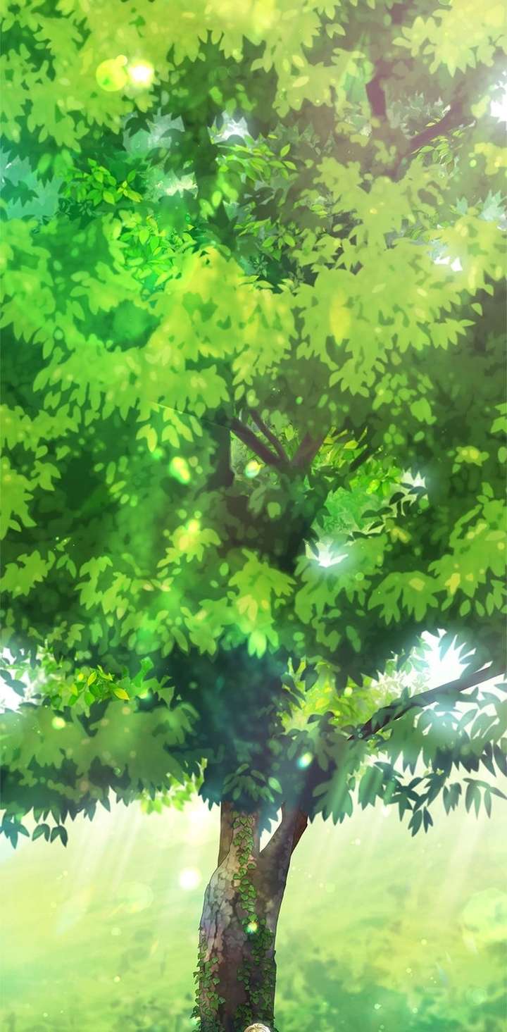 ch 164 90