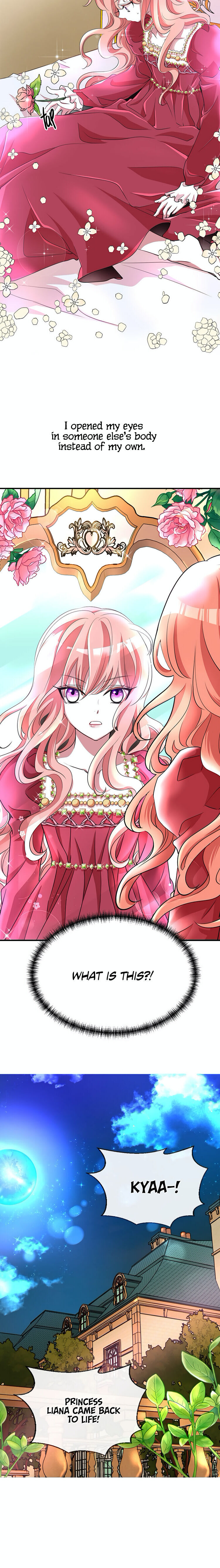 I’m a Killer but I’m Thinking of Living as a Princess Chapter 1 134 017