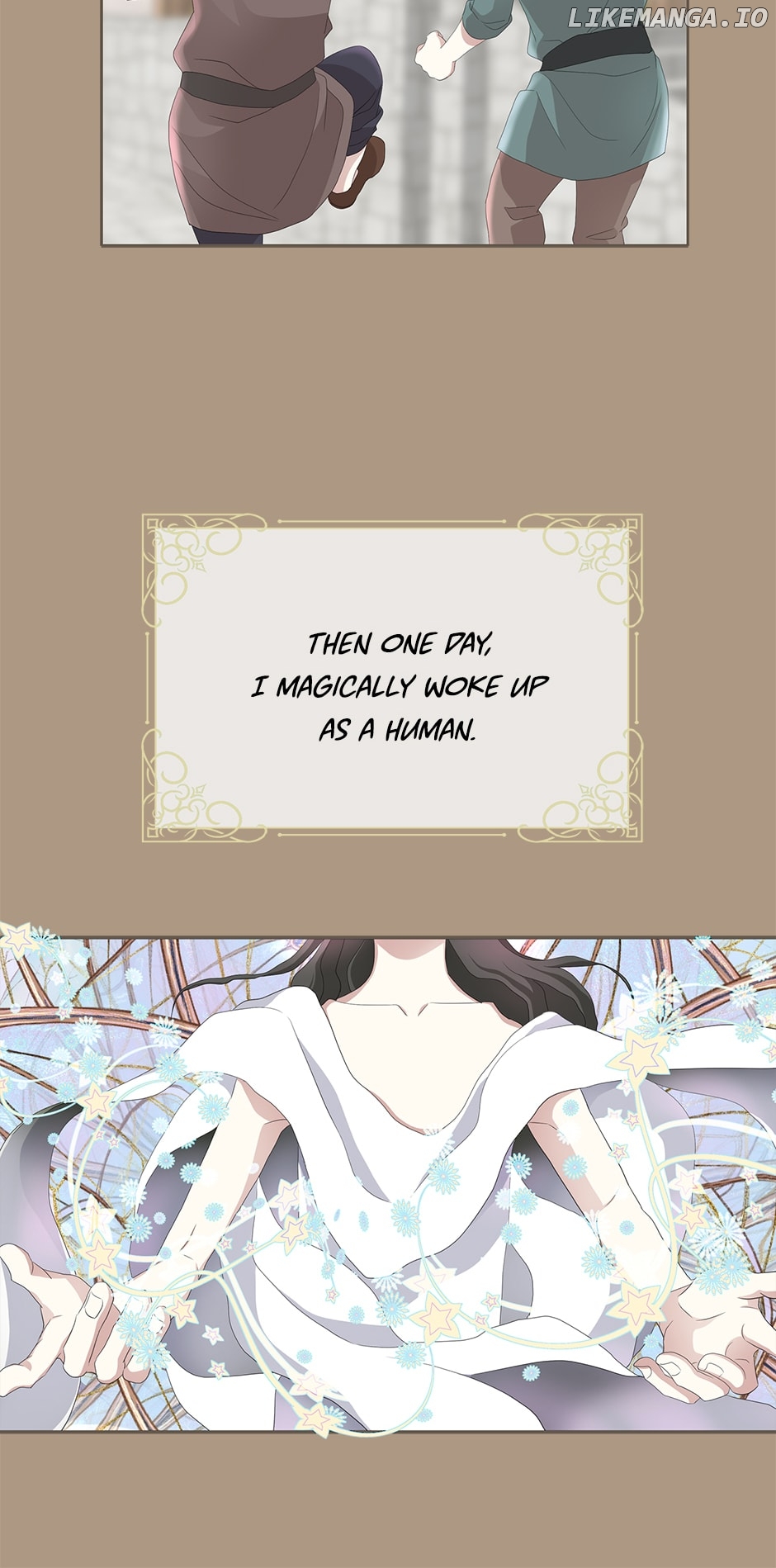 ch 96 21