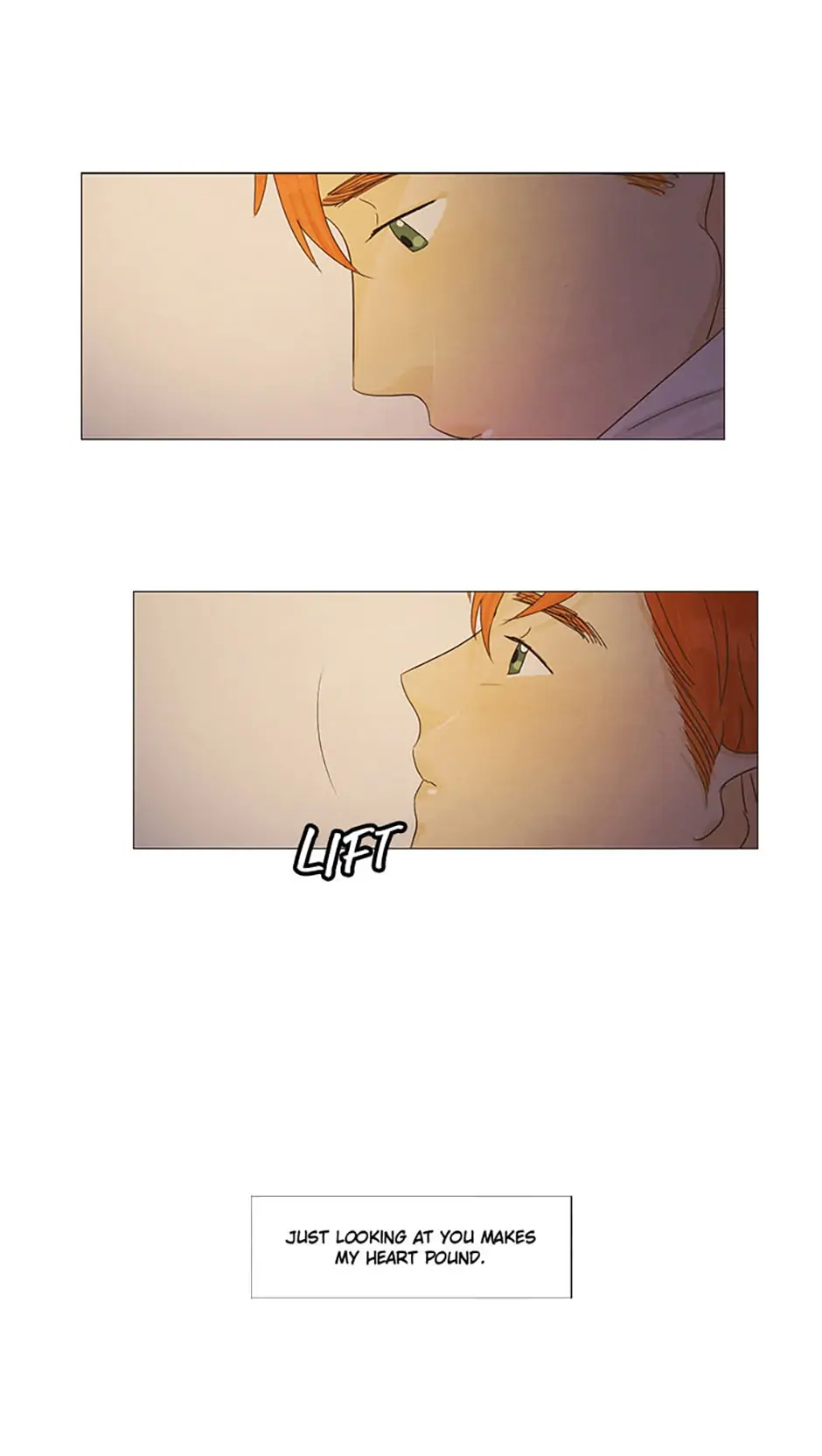 ch 23 22