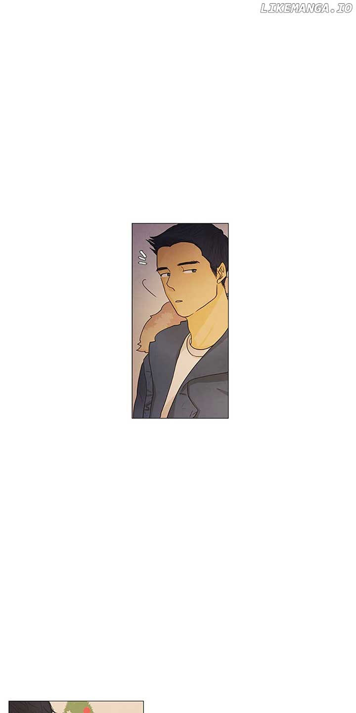 ch 80 31
