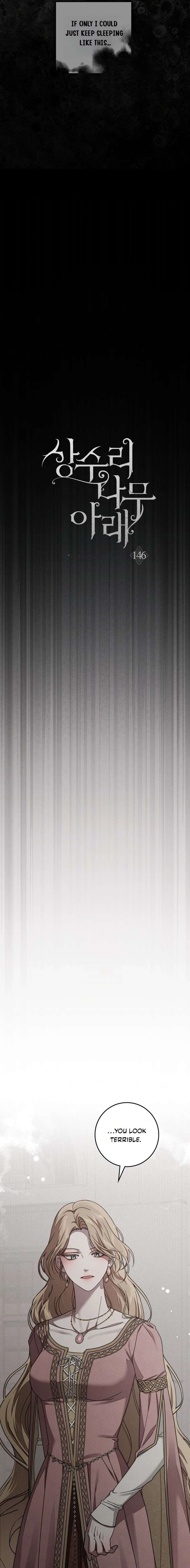 ch 146 9
