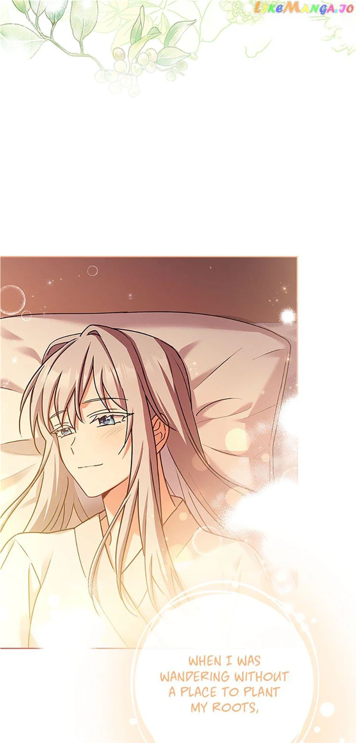 A childhood friend became an obsessive husband Chapter 45 253 42