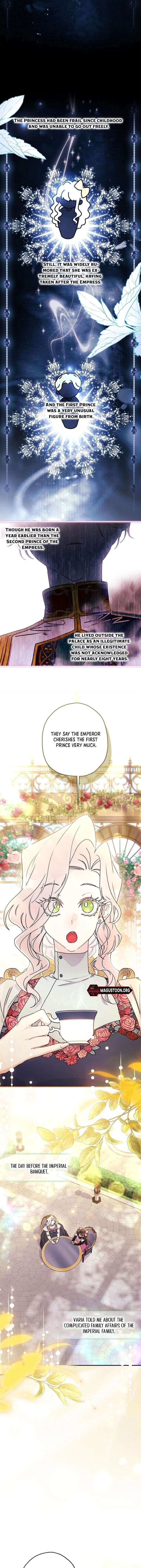ch 154 8