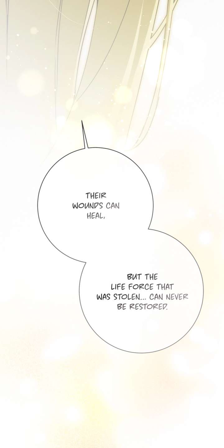 Into the light once again Chapter 115 412 ch 115 43