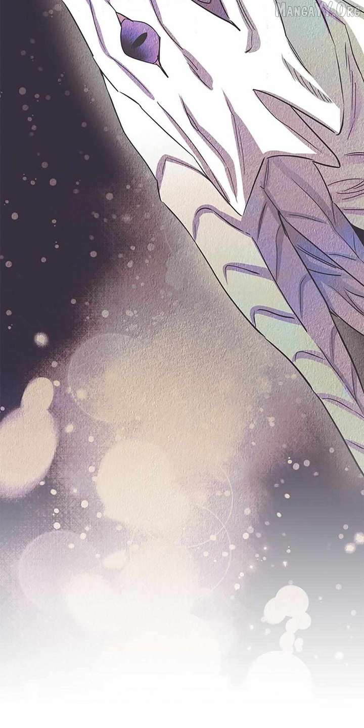 ch 67 19