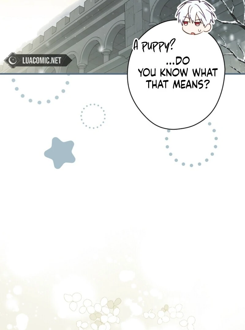 How to Get My Husband on My Side Chapter 116 394 033