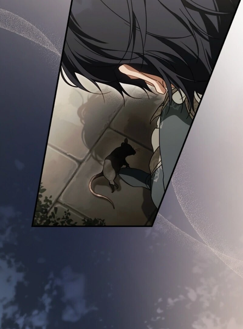 How to Get My Husband on My Side Chapter 122 456 029