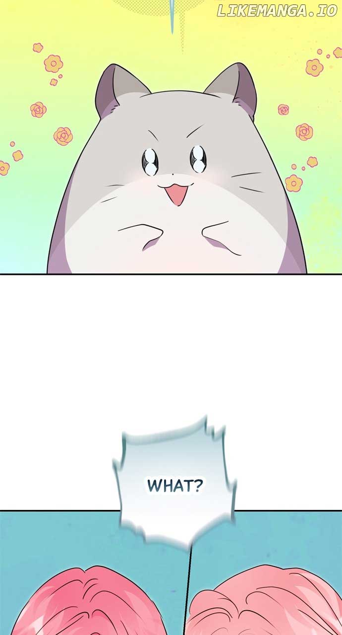 ch 95 5
