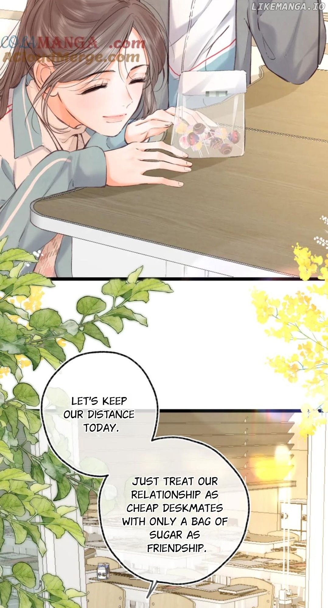 ch 80 13