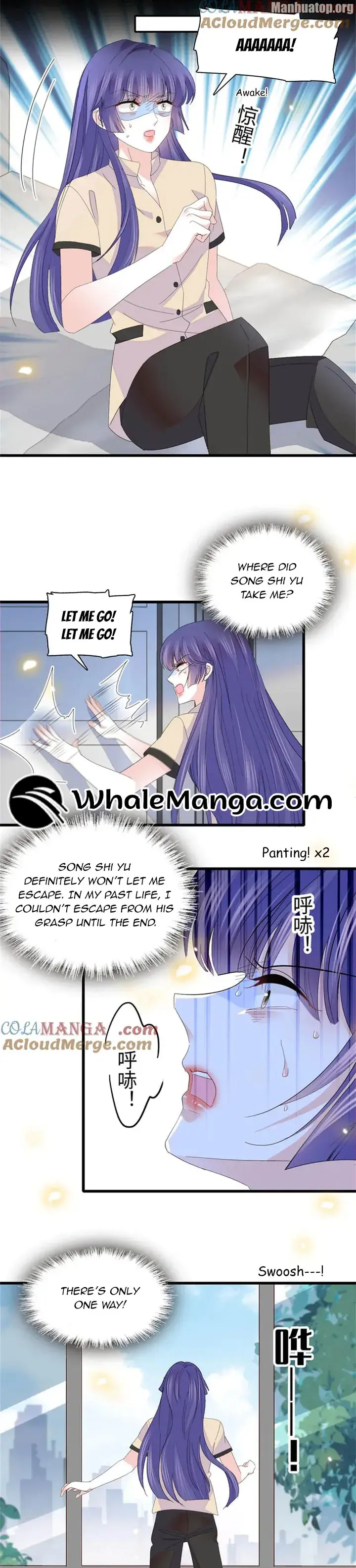 The Almighty Daughter Runs The World Chapter 116 81 017