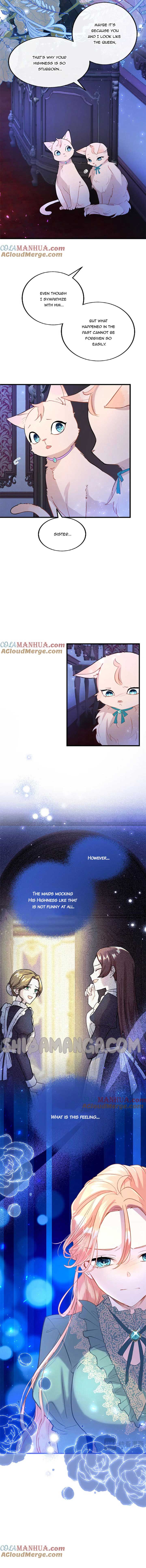 The Reason Why The Twin Lady Crossdresses Chapter 50 60 08