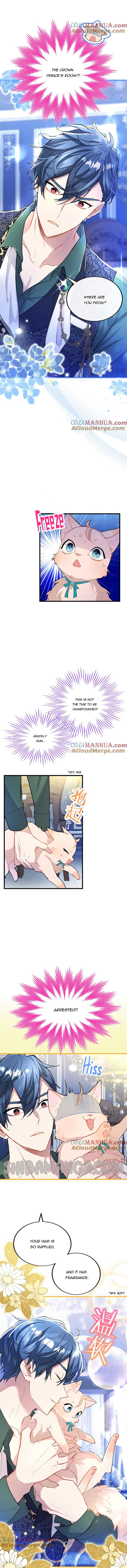 The Reason Why The Twin Lady Crossdresses Chapter 50 64 12