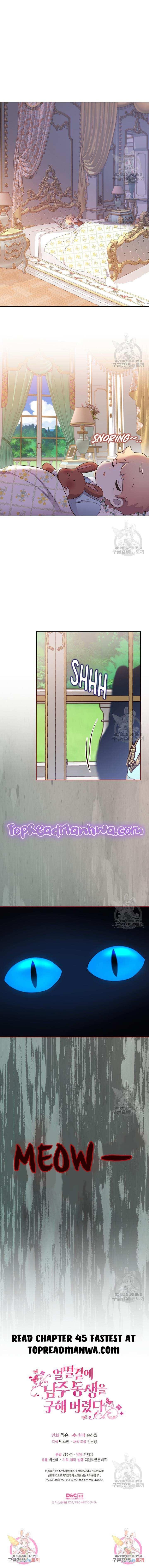 I Accidentally Saved the Male Lead’s Brother Chapter 44 51 12