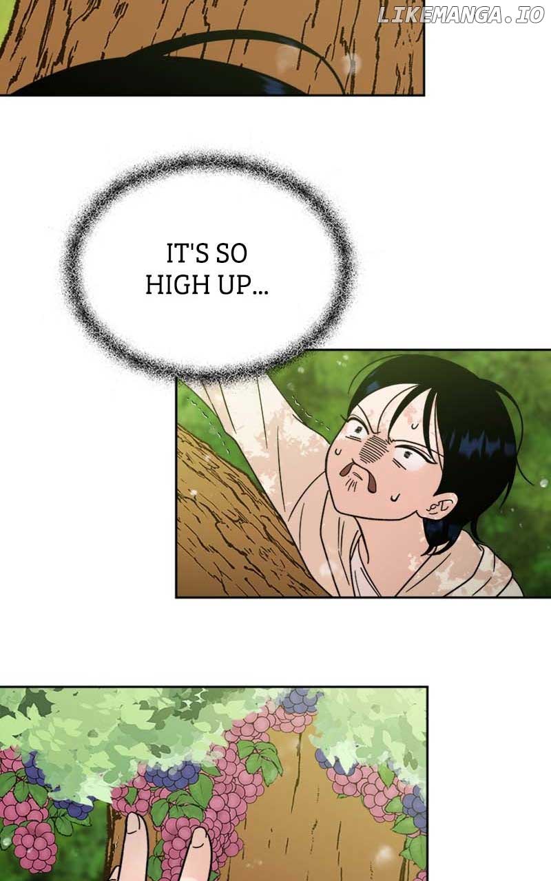 61