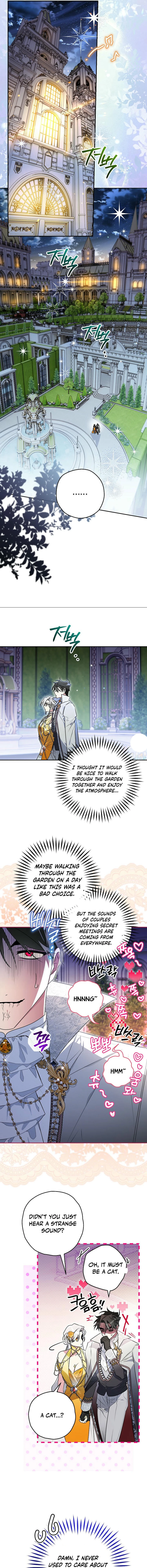 ch 135 5