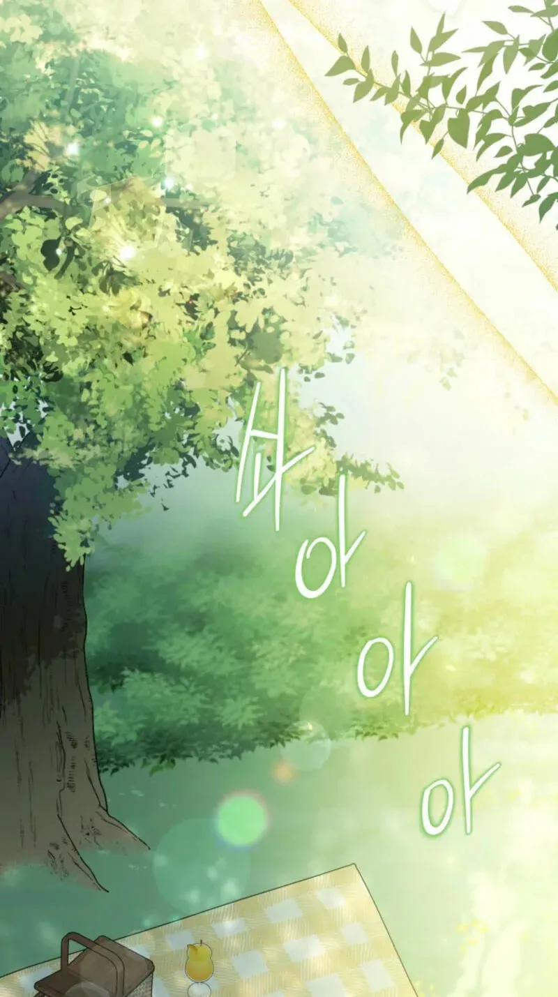 08c49425c984 13 webp