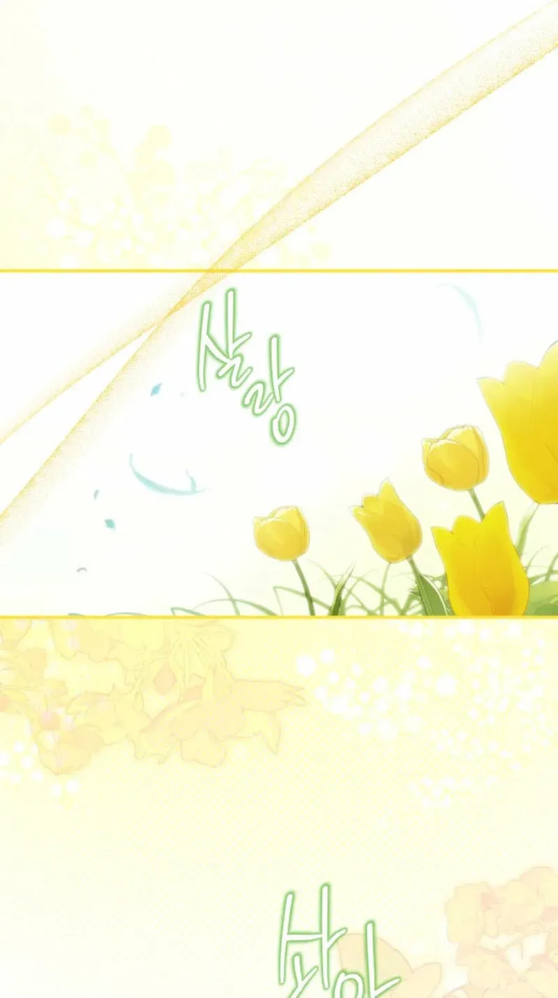 295a7d4f968d 11 webp