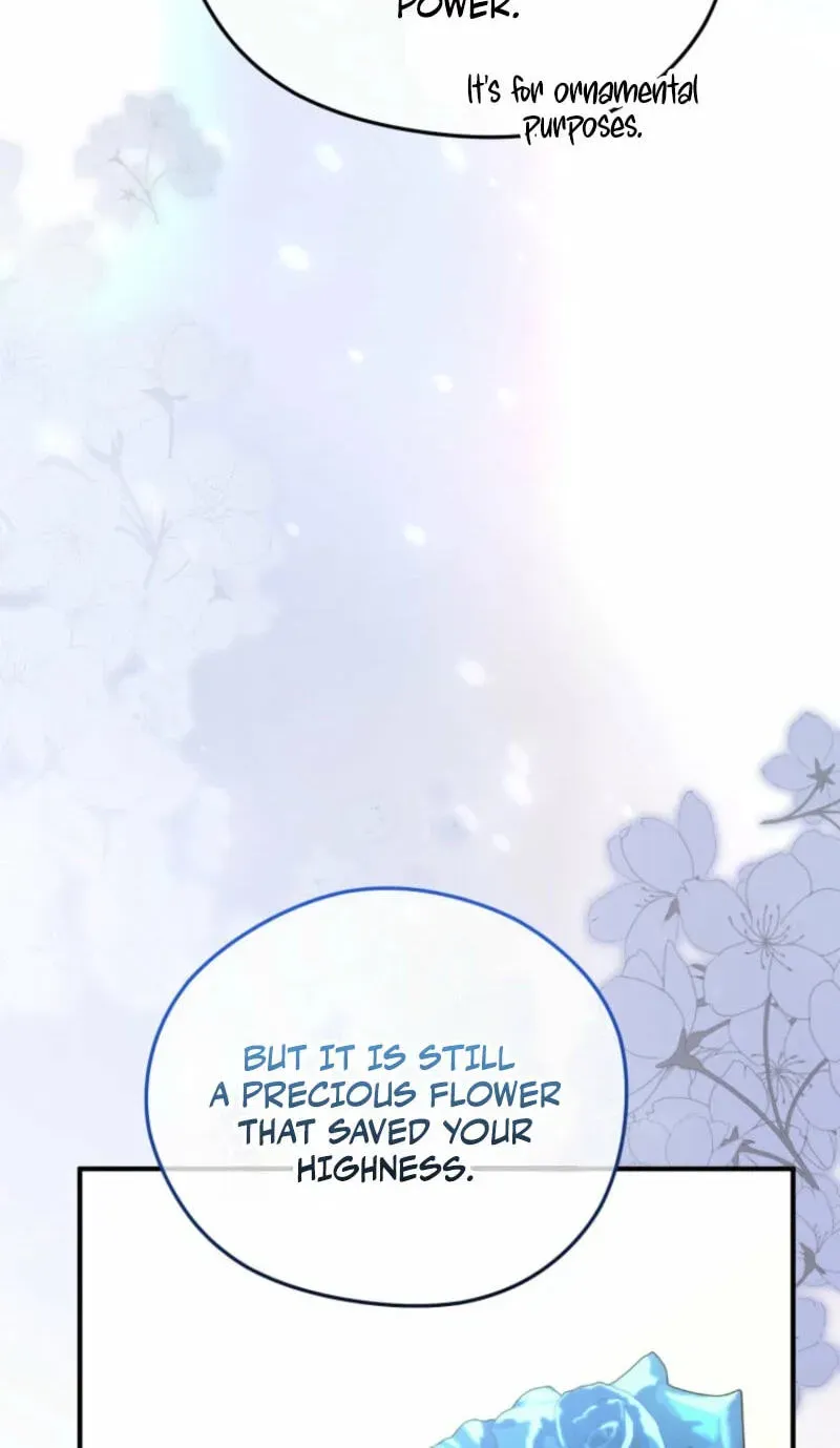 918796c47c6a 67 webp