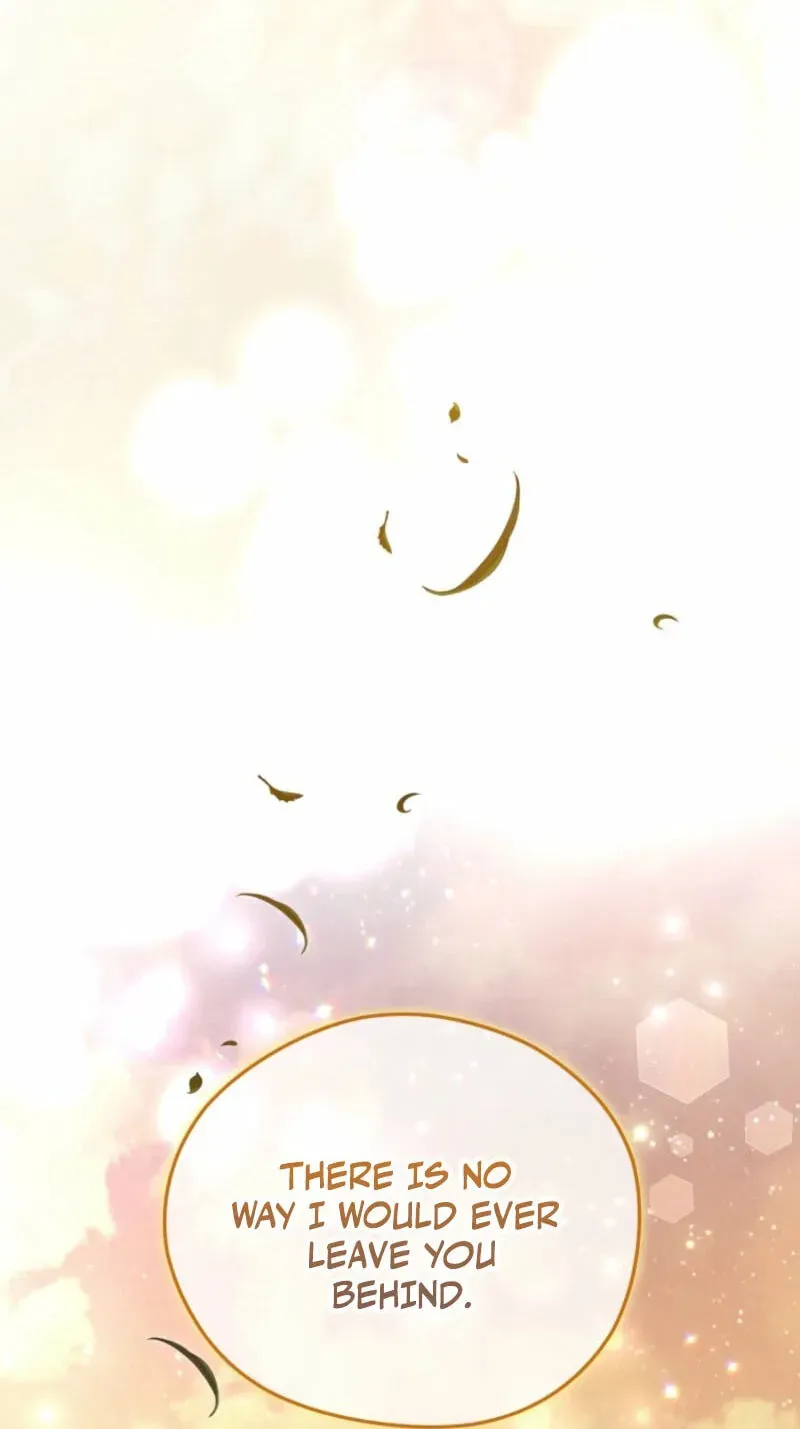 b721bf9ab1e7 73 webp