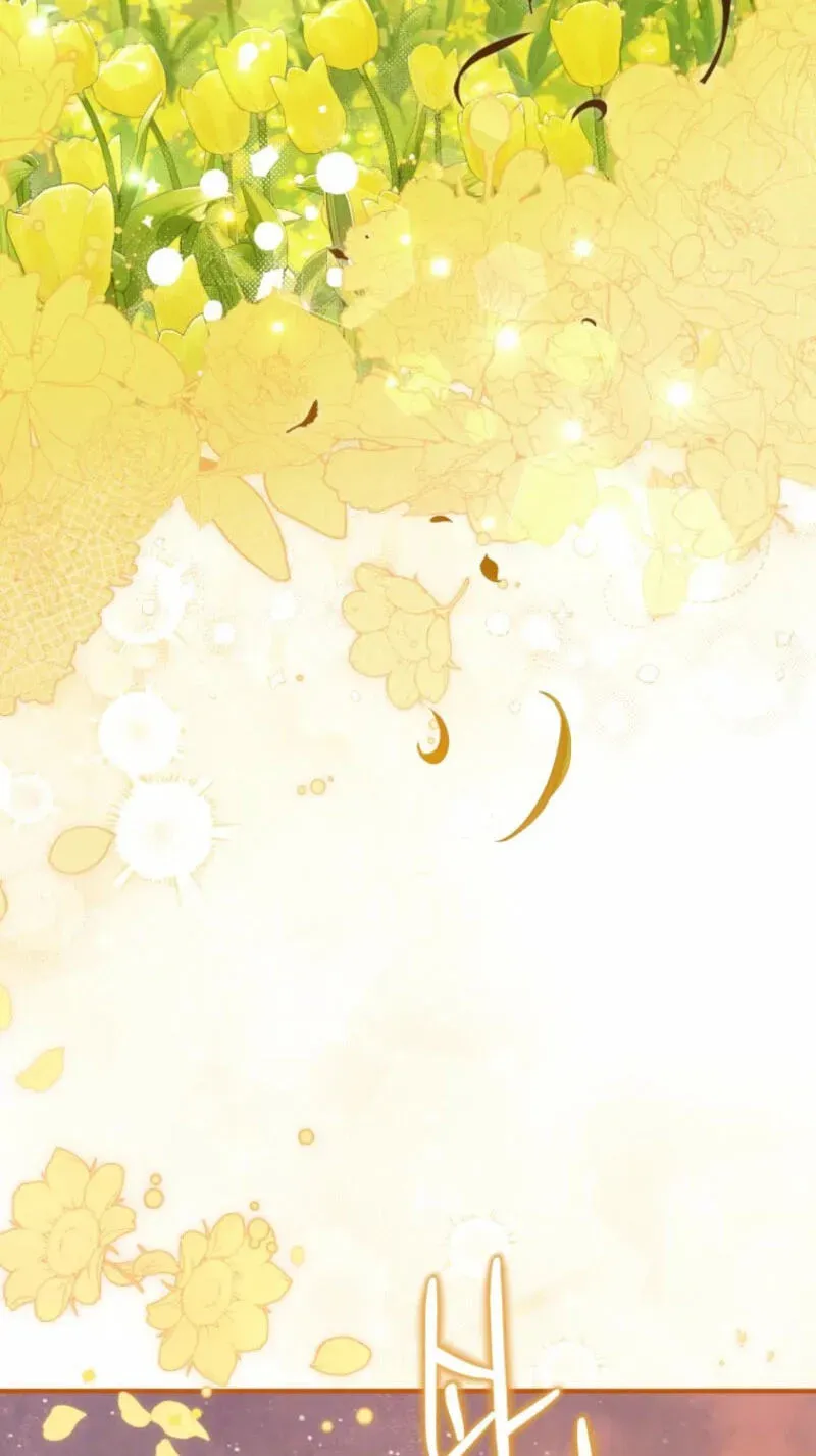 c4066403bbad 75 webp