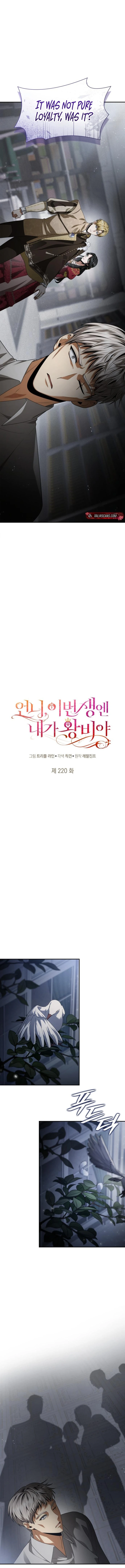 208e92e194e1 12 webp