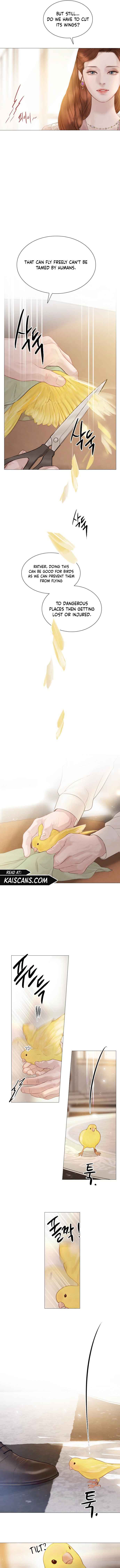 Cry, Even Better If You Beg Chapter 11 52 8