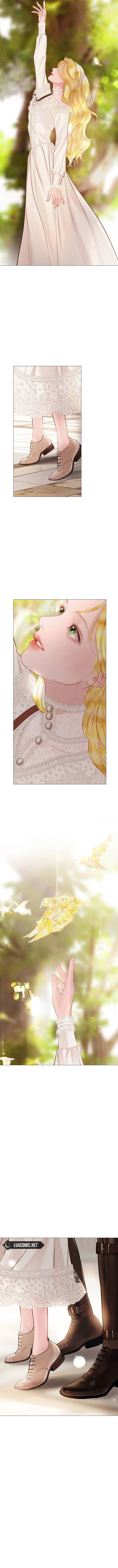 Cry, Even Better If You Beg Chapter 39 62 10