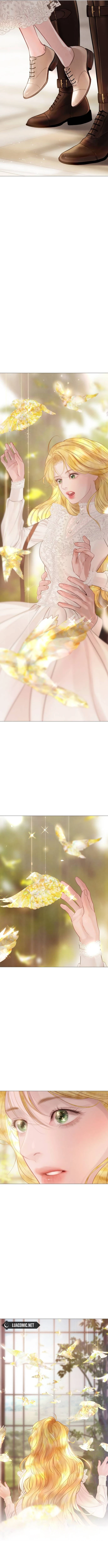 Cry, Even Better If You Beg Chapter 39 63 11