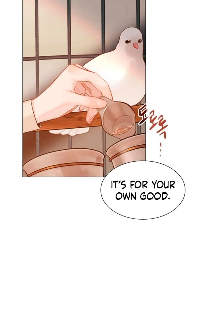 Cry, Even Better If You Beg Chapter 65 437 040