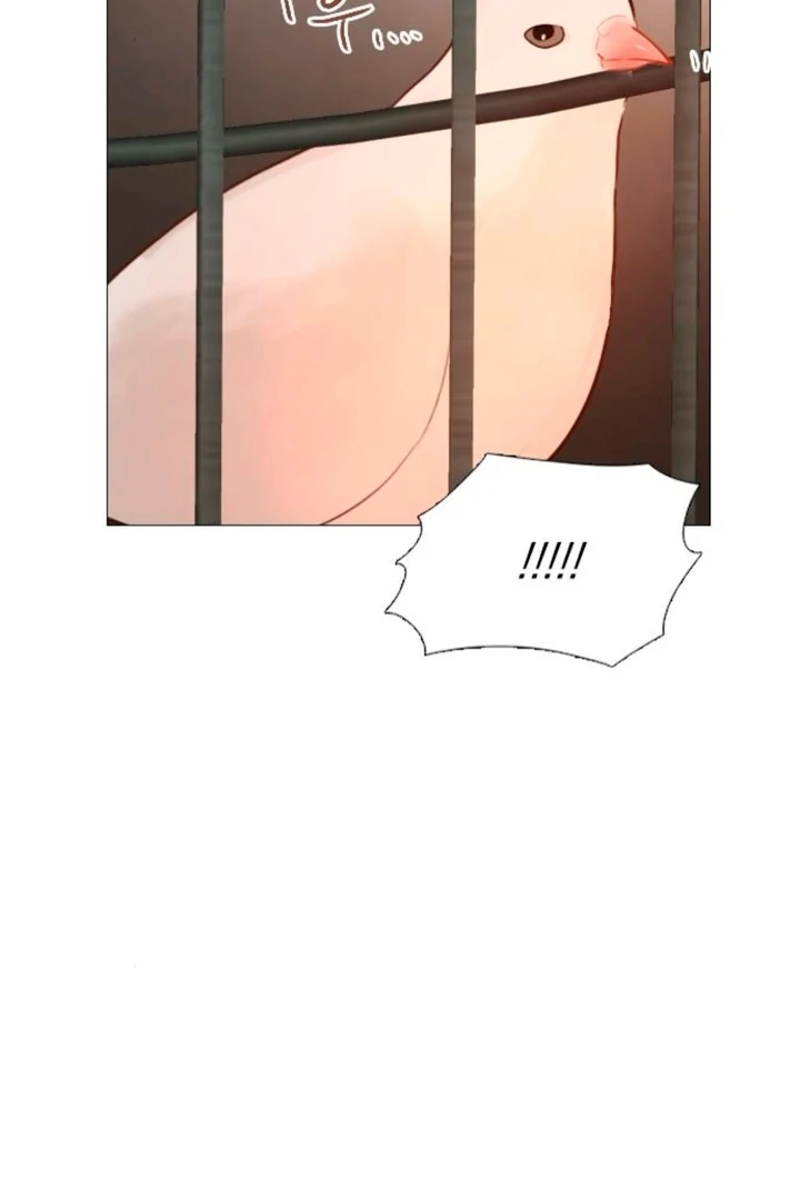 Cry, Even Better If You Beg Chapter 66 518 091