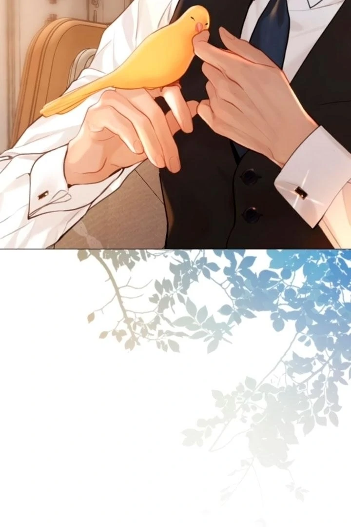 Cry, Even Better If You Beg Chapter 68 378 008