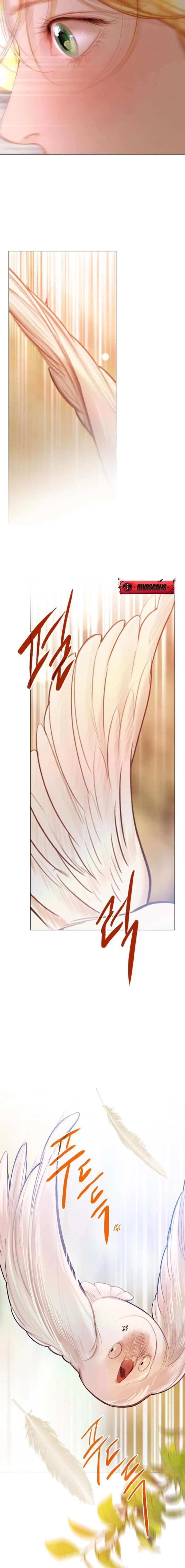 Cry, Even Better If You Beg Chapter 74 87 8