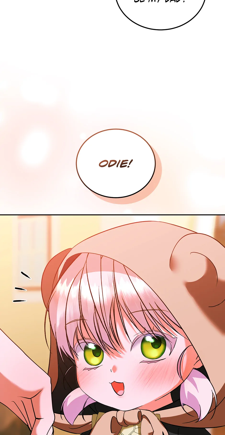 ch 41 43