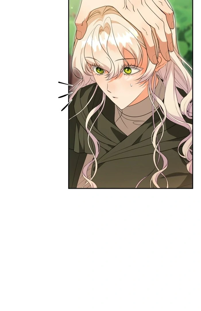 ch 52 31