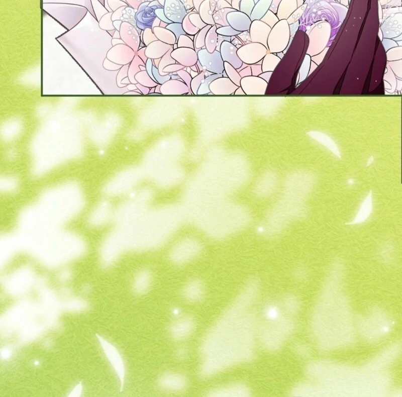 ch 66 65