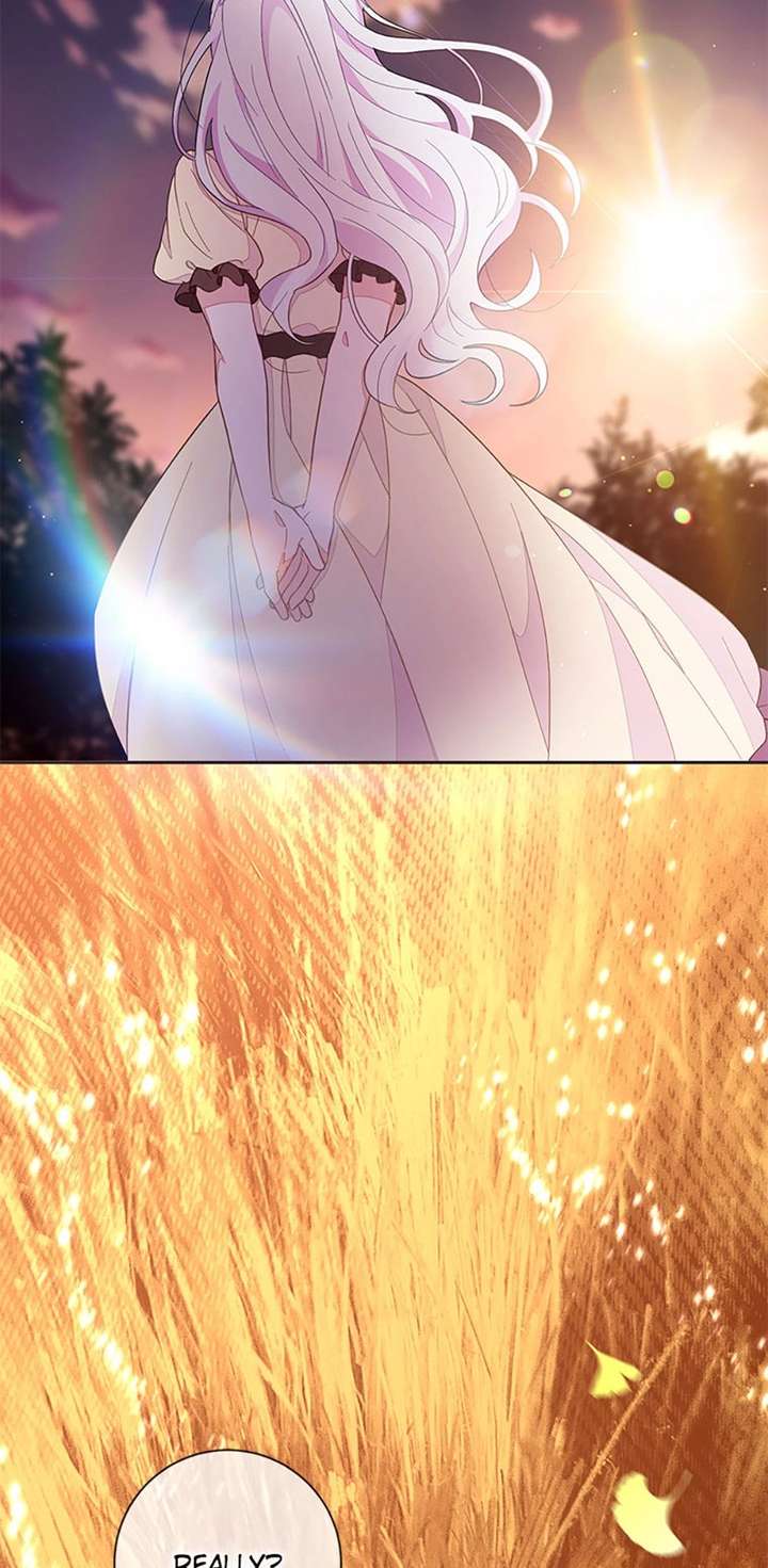 ch 94 31