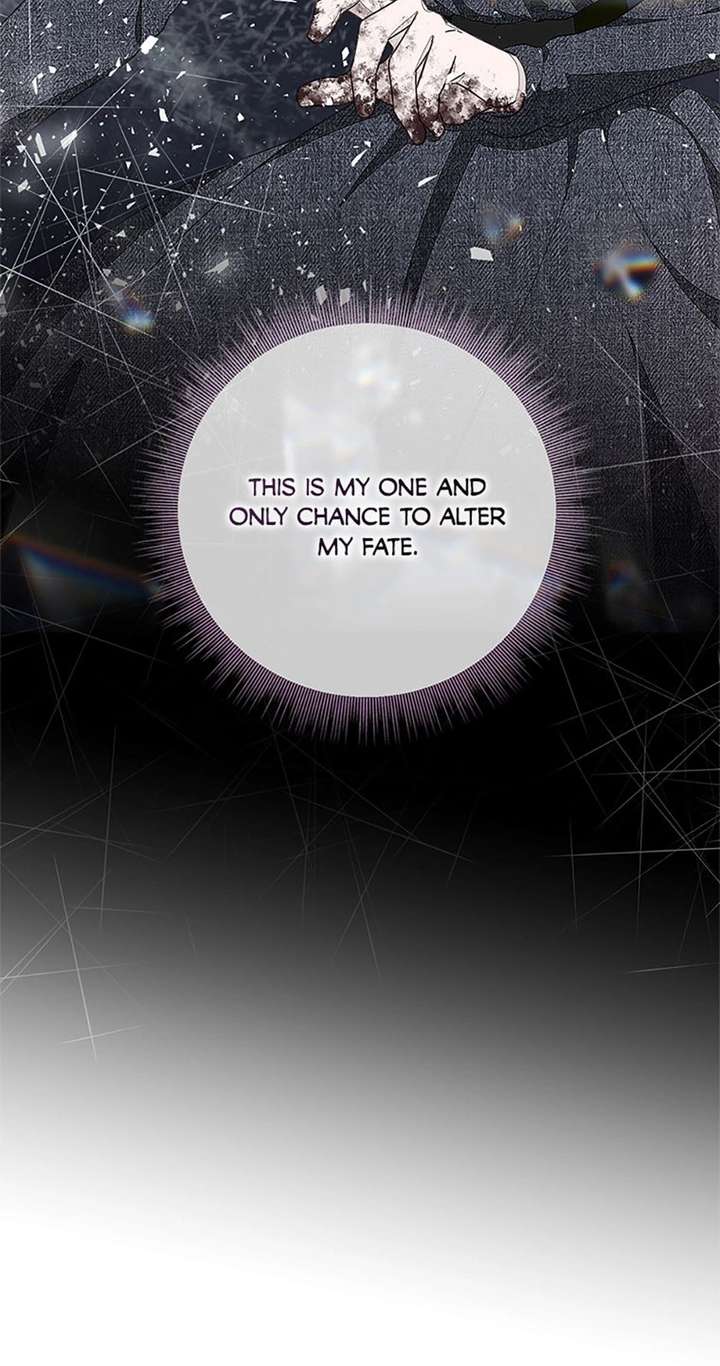 ch 95 19