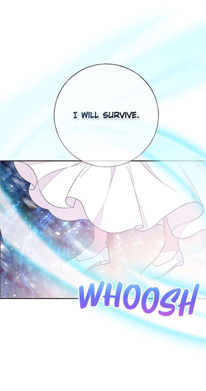 ch 95 20